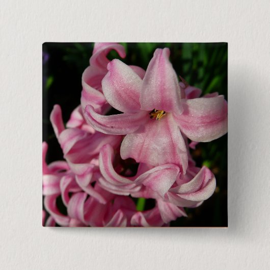 Rosa Hyacinth Frühlingsfloral Button (Vorderseite)