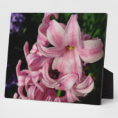 Rosa Hyacinth Frühlingsfloral Fotoplatte (Seite)