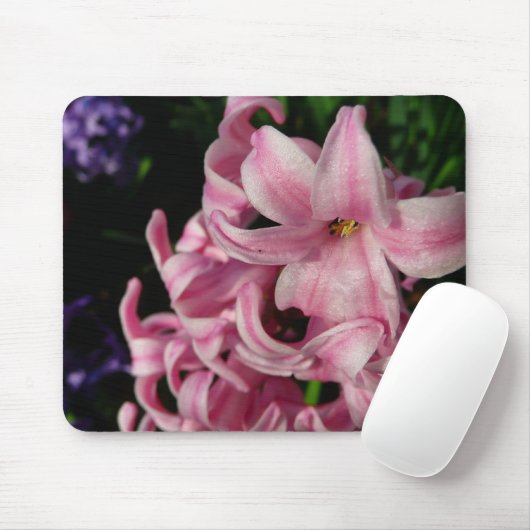 Rosa Hyacinth Frühlingsfloral Mousepad (Mit Mouse)