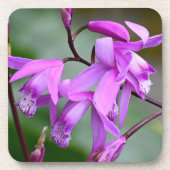 Rosa Hyacinth Orchius Getränkeuntersetzer (Vorderseite)