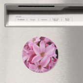 rosa Hyazinthe-Blume Magnet (In Situ (Geschirrspüler))