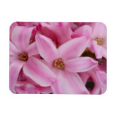 rosa Hyazinthe-Blume Magnet (Horizontal)