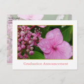 Rosa Hydrangea Blume Abschluss Ankündigungspostkarte (Vorne/Hinten)