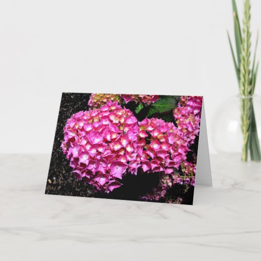 Rosa Hydrangea-Blume Feiertagskarte (Vorderseite)