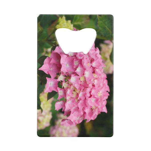 Rosa Hydrangea-Blume Geldbeutel Flaschenöffner (Vorderseite)