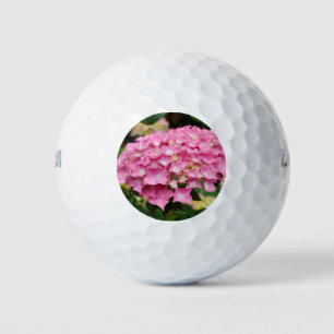 Rosa Hydrangea-Blume Golfball