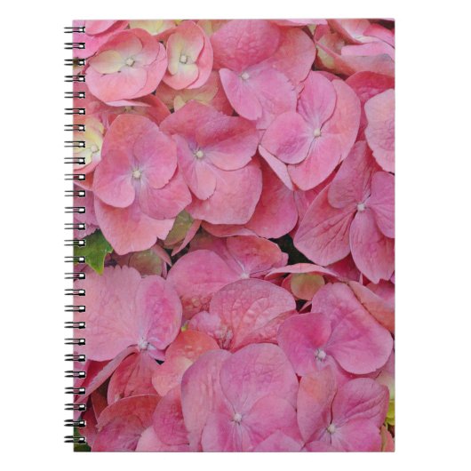 Rosa Hydrangea Blume Journal Notizblock (Vorderseite)