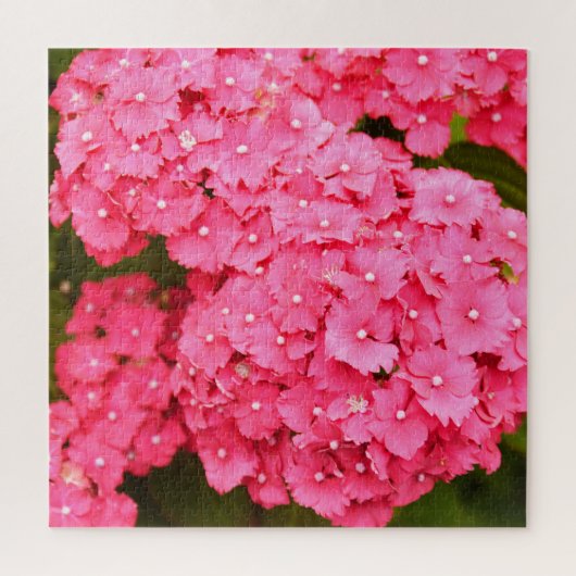 Rosa Hydrangea-Blume Puzzle (Vertikal)