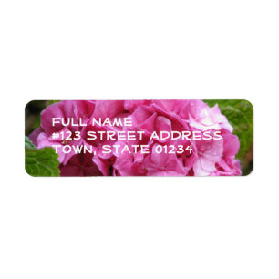 Rosa Hydrangea-Blumemailings-Aufkleber