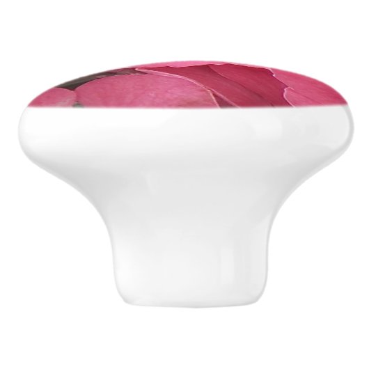 Rosa Hydrangea Blütenknochen Keramik Keramikknauf (Seitenansicht)