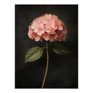 Rosa Hydrangea Botanische Malerei Poster