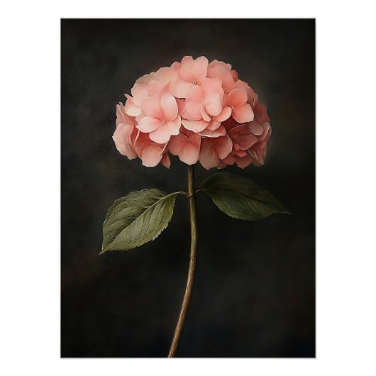 Rosa Hydrangea Botanische Malerei Poster (Vorderseite)