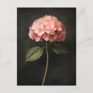 Rosa Hydrangea Botanische Malerei Postkarte