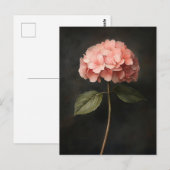 Rosa Hydrangea Botanische Malerei Postkarte (Vorne/Hinten)