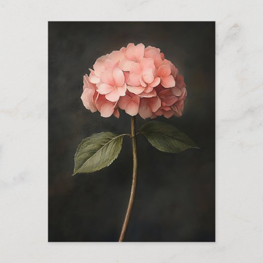 Rosa Hydrangea Botanische Malerei Postkarte (Vorderseite)