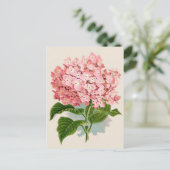 Rosa Hydrangea Botanische Printwerbung Postkarte (Stehend Vorderseite)
