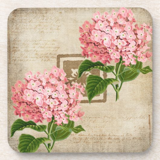 Rosa Hydrangea-Cluster II Getränkeuntersetzer (Vorderseite)