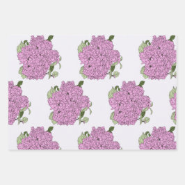 Rosa Hydrangea, grüne und rosa Umhüllungsblätter Geschenkpapier Set