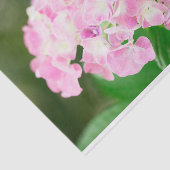 Rosa Hydrangea im Sommer Seidenpapier (Ausschnitt)