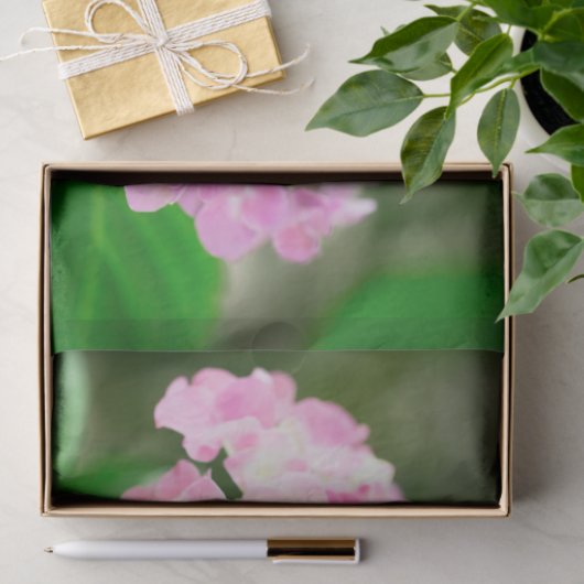 Rosa Hydrangea im Sommer Seidenpapier (Geschenk)