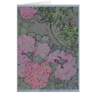 Rosa Hydrangea in einem Sommergarten