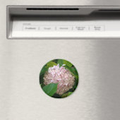 Rosa Hydrangea Magnet (In Situ (Geschirrspüler))