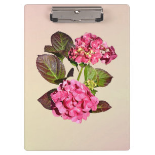 Rosa Hydrangea mit Blätter Klemmbrett