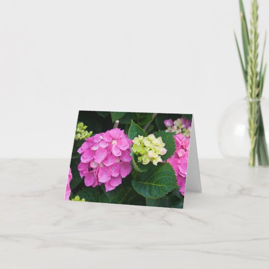 Rosa Hydrangea Notecards Karte (Vorderseite)