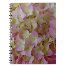 Rosa Hydrangea-Notizbuch Notizblock