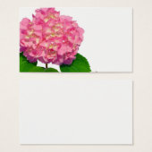 Rosa Hydrangea Rosa Blume (Vorne & Hinten)