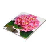 Rosa Hydrangea Rosa Blume Fliese (Seite)