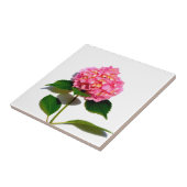 Rosa Hydrangea Rosa Blume Fliese (Seite)