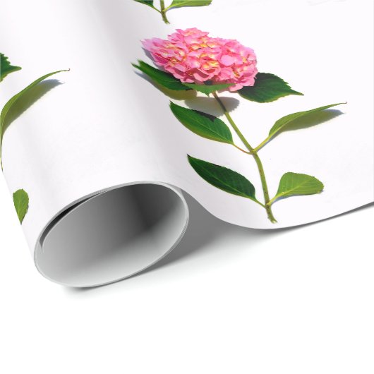 Rosa Hydrangea Rosa Blume Geschenkpapier (Rolleneckpunkt)