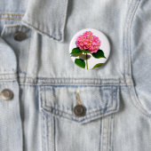 Rosa Hydrangea Rosa Blume Rosa Blüte Button (Beispiel)