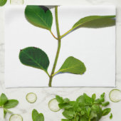 Rosa Hydrangea Rosa Blume Rosa Blüte Geschirrtuch (Gefaltet)