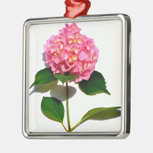 Rosa Hydrangea Rosa Blume Rosa Blüte Ornament Aus Metall (Links)