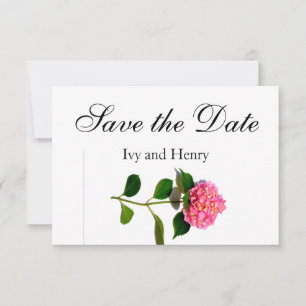 Rosa Hydrangea Rosa Blume Save The Date