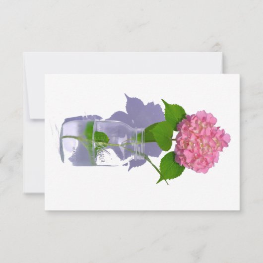 Rosa Hydrangea Rosa Blume Save The Date (Rückseite)