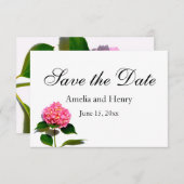Rosa Hydrangea Rosa Blume Save The Date (Vorne/Hinten)