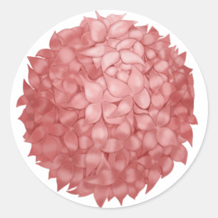 Rosa Hydrangea Stikers Classic Round Sticker