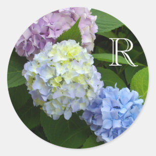 Rosa Hydrangeas, blaue Hydrangeas, grüne Hydrangea Runder Aufkleber