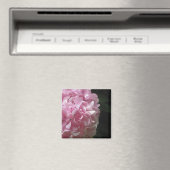 Rosa Hydrangeas-Magnete Magnet (In Situ (Geschirrspüler))