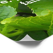 Rosa Hydrangeas mit Schrift Poster (Ecke)