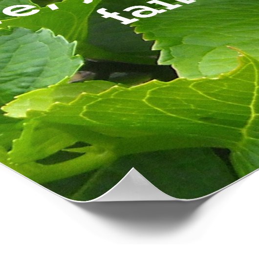 Rosa Hydrangeas mit Schrift Poster (Ecke)