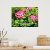 Rosa Hydrangeas mit Schrift Poster (Küche)