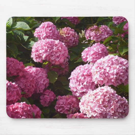 Rosa Hydrangeas Mousepad (Vorne)