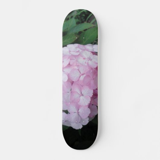 Rosa Hydrangia Skateboard (Vorderseite)