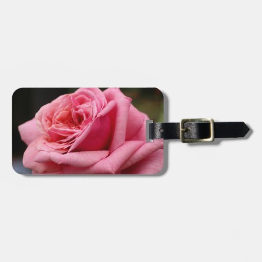 Rosa I Hübsche Blumenfotografie Gepäckanhänger (Vorderseite horizontal)