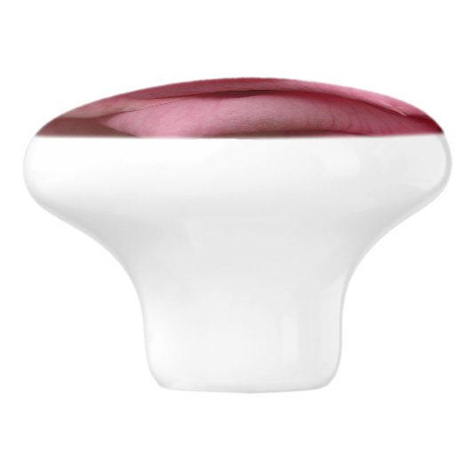 Rosa I Hübsche Blumenfotografie Keramikknauf (Seitenansicht)