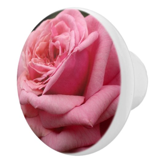 Rosa I Hübsche Blumenfotografie Keramikknauf (Rechts)